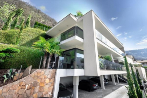 Chalet Agave